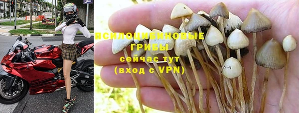 хмурый Богородицк